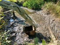 20250927_155619 (1024x768).jpg